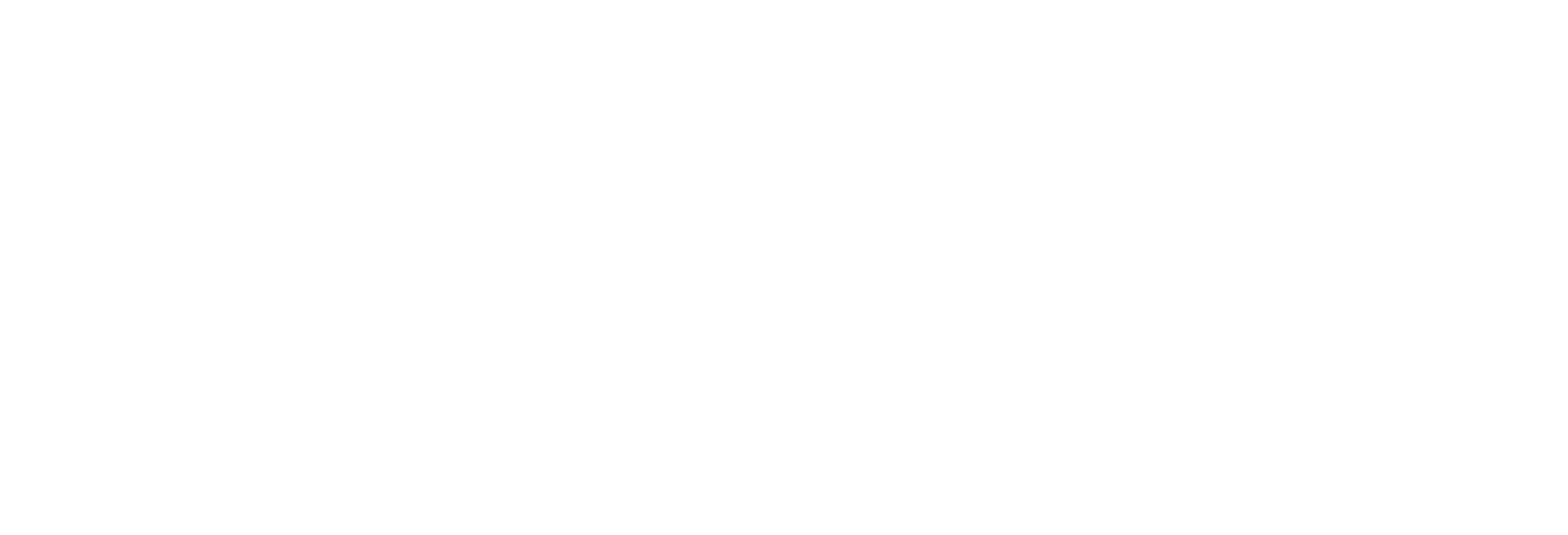 Revive IT Service Center
